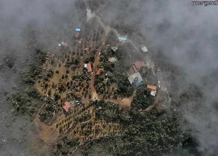 The Edge Of The Village - Shefer